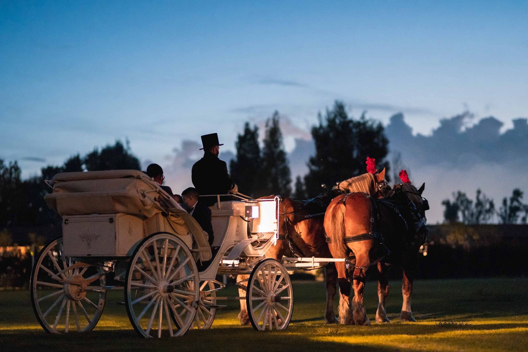Horse carriage at night