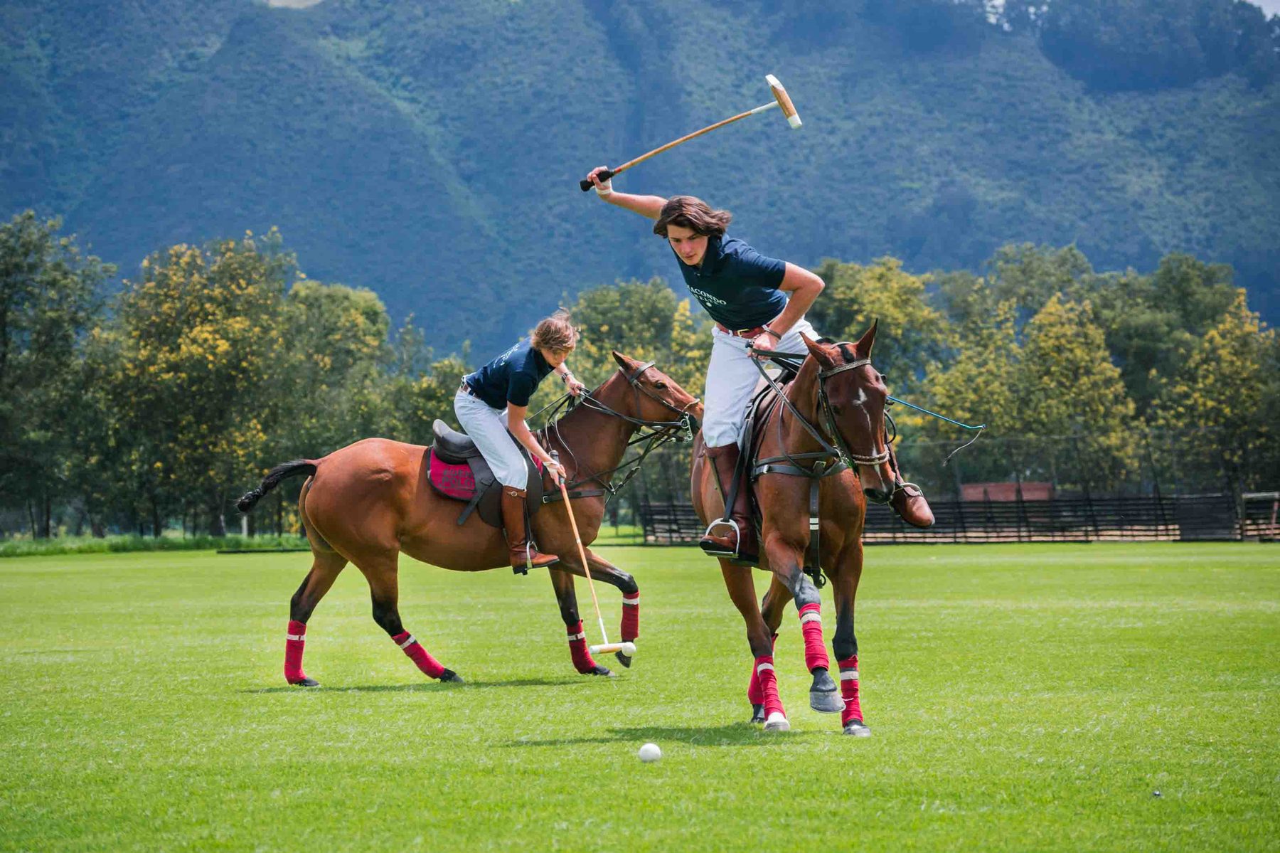 Polo player mid-swing
