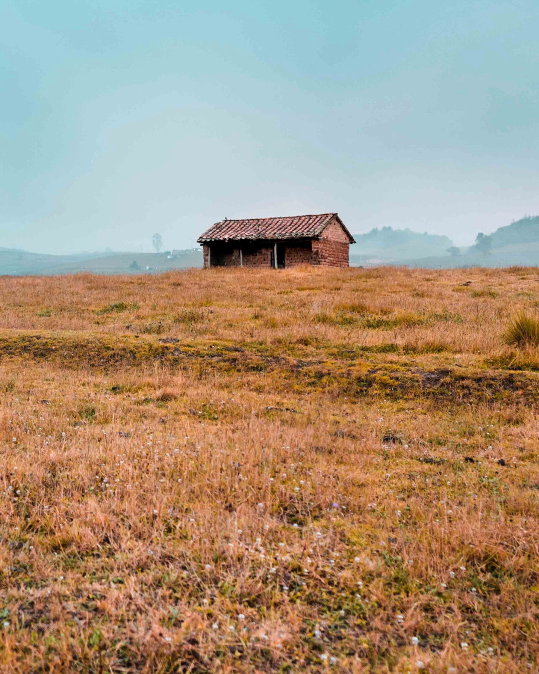 Cabin in the mist