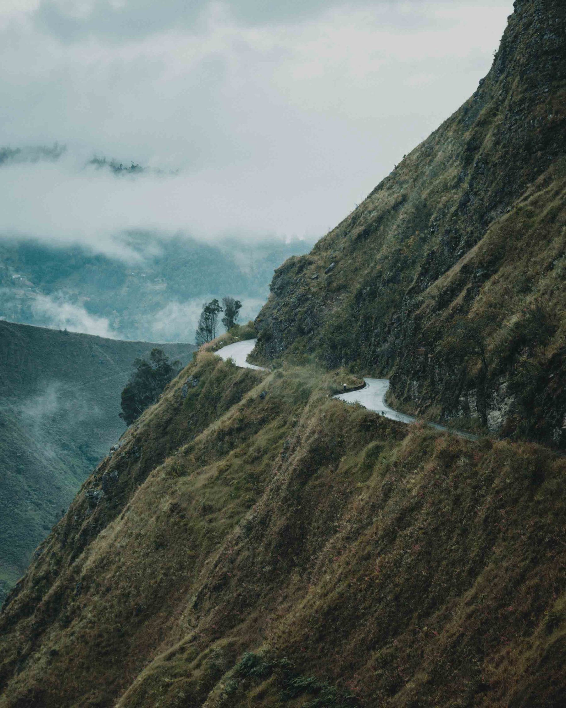 Road cut into the cliffside